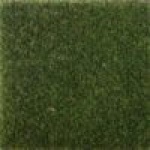 Astro Turf $0.00