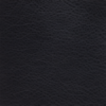 Black Leatherette Cushion $0.00
