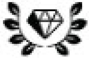 icon3