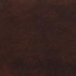 Caramel (White Birch Wood) $0.00