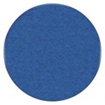 Electric Blue $0.00