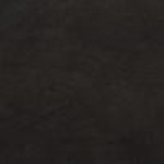 Midnight Stroll (White Birch Wood) $0.00