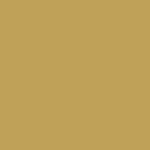 Gold (Not Available in 860HR) $0.00