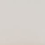 White (White Birch Wood) $0.00