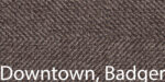 Downtown Badger