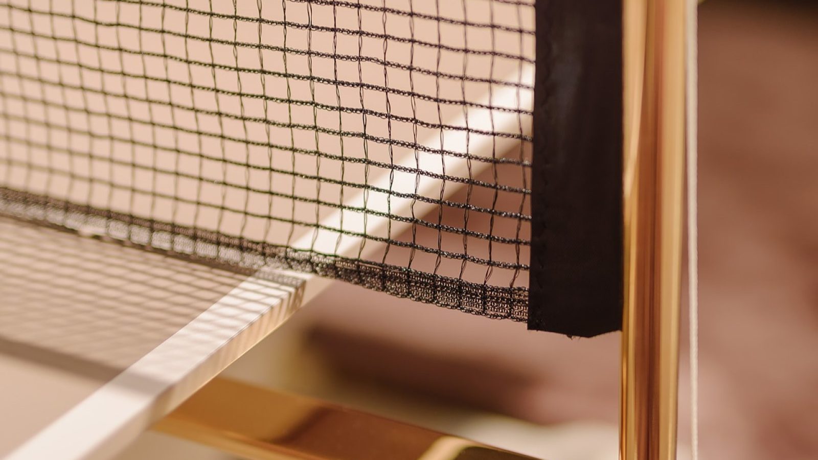 Arena Net